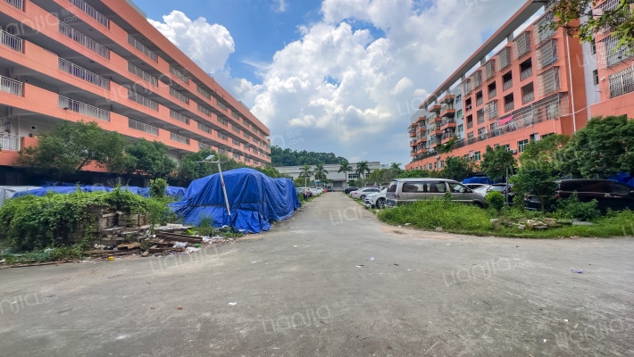 塘敢泰兴楼外景图