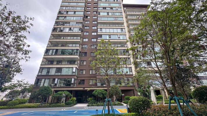 万科公望西区外景图