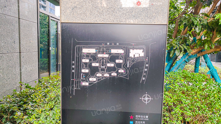 桂语风荷外景图