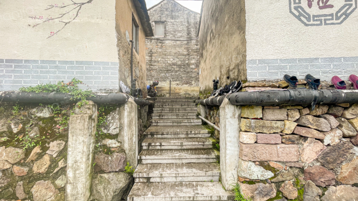 横溪镇王家外景图