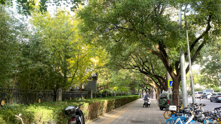 南礼士路外景图