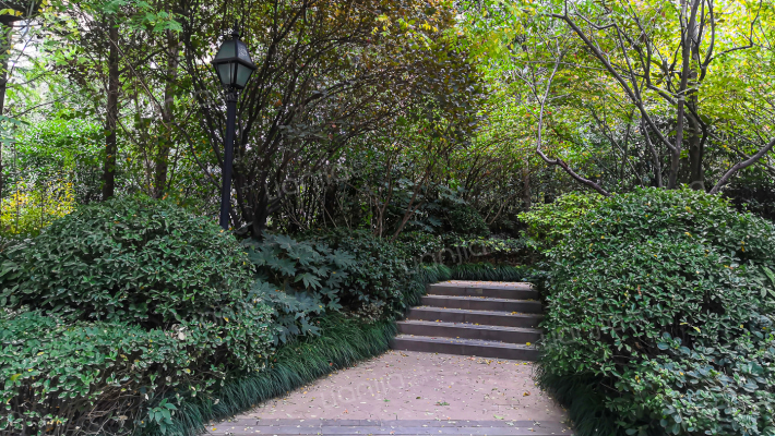 海马公园B区外景图