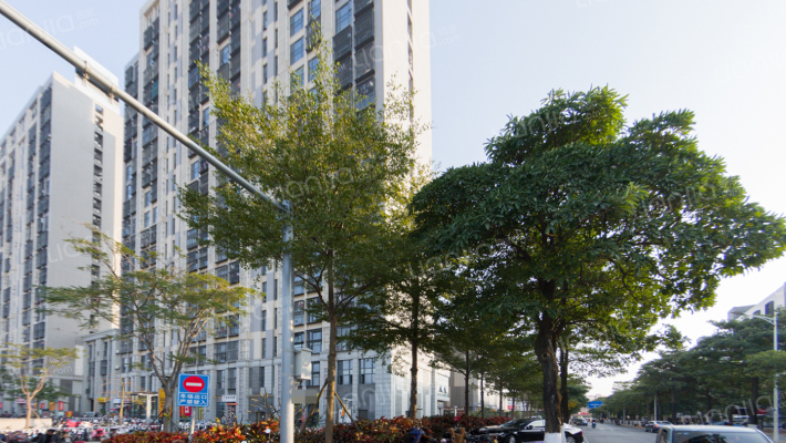 新景舜弘现代城外景图