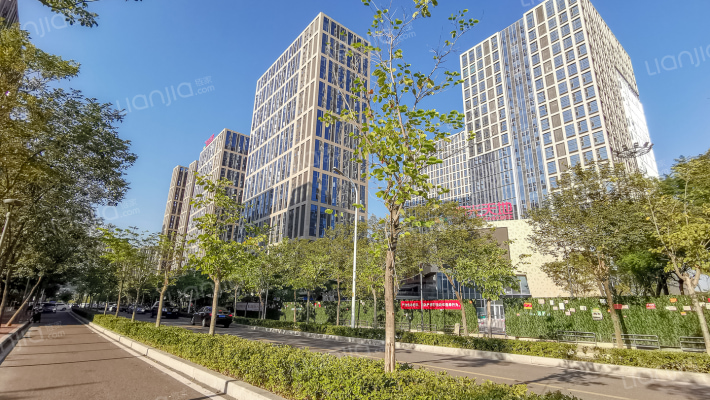 阳光城大都会C区外景图