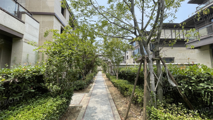 金科半岛壹号提香岛外景图