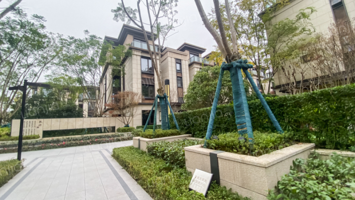 金科御临河月菊泊外景图