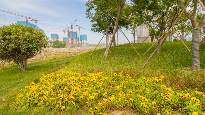 万科·未来里外景图