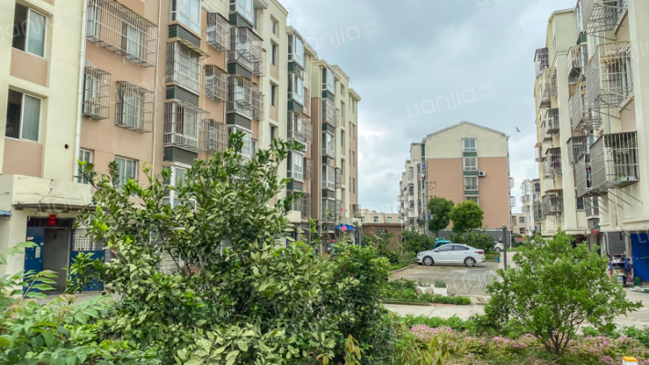 红星花苑8期外景图