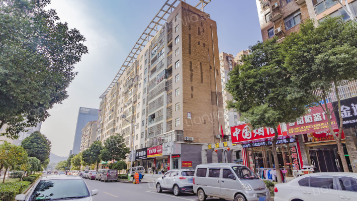 流金港都外景图