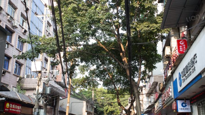 桂花园路外景图