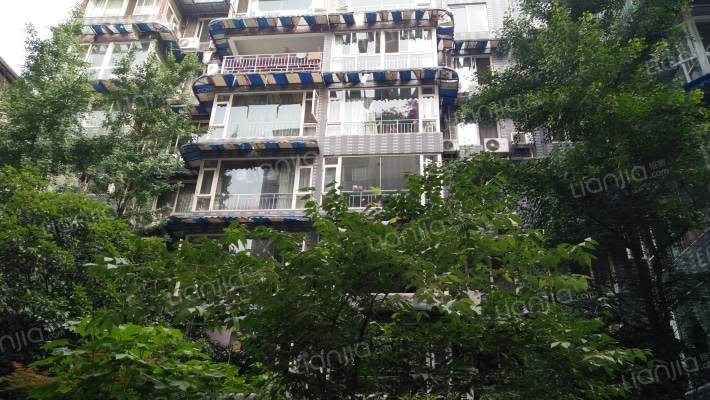 实业街27号外景图