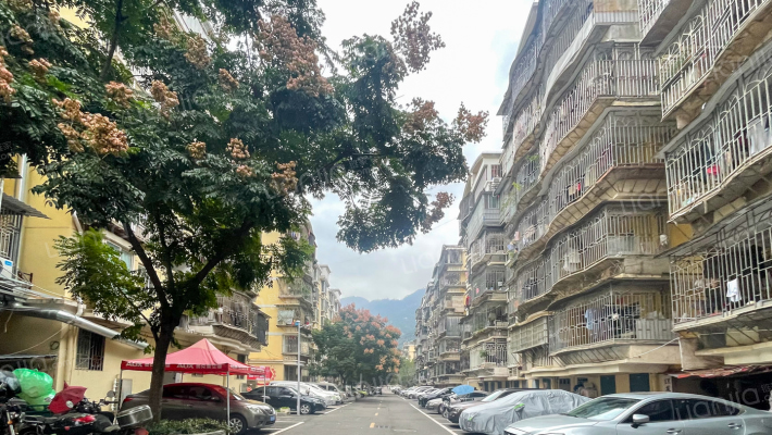 国屿新小区外景图