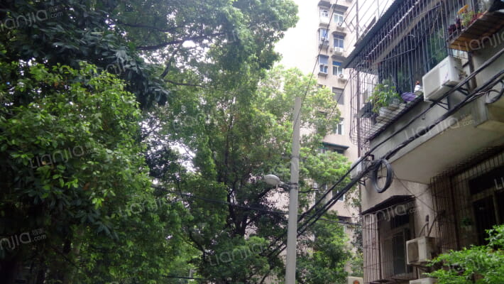 长江委酒宝荡小区外景图