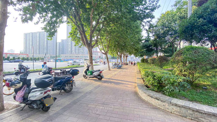 枫林一品外景图