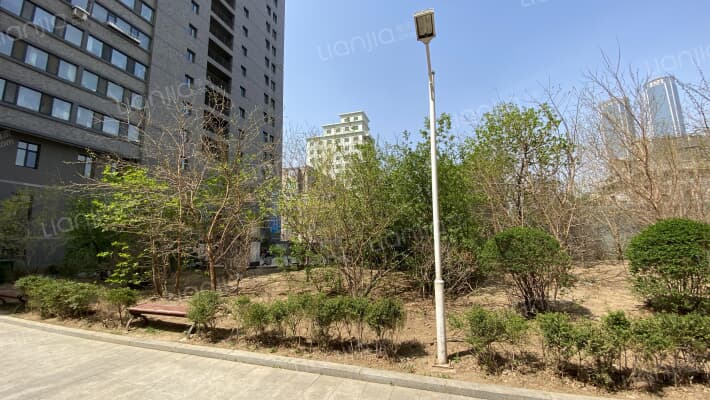 中环星座外景图