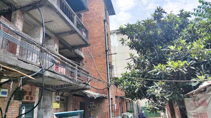 拱辰街21号外景图