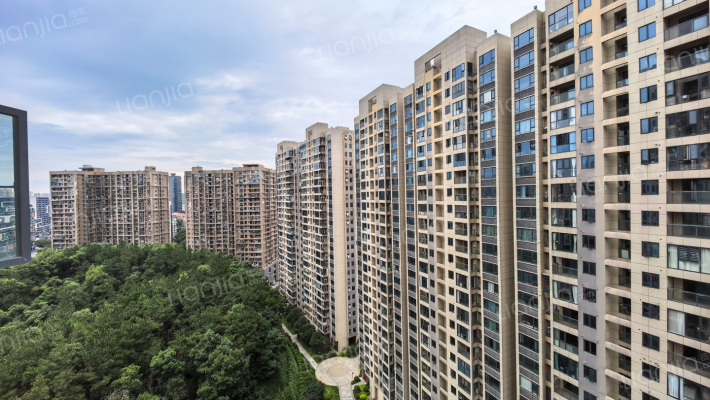 博林云栖外景图