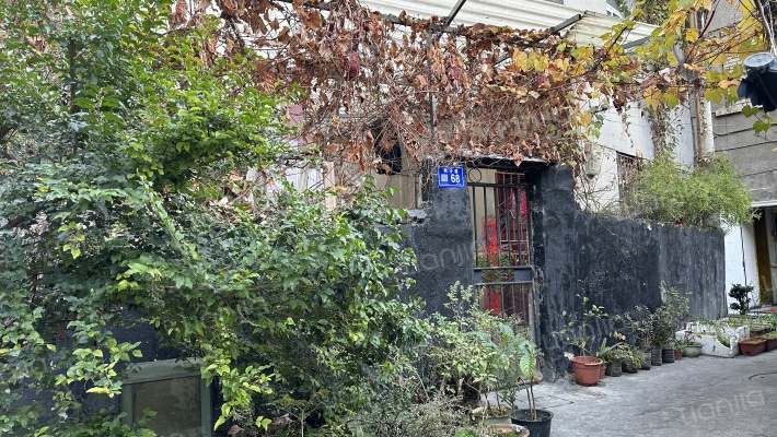 君子巷68号外景图