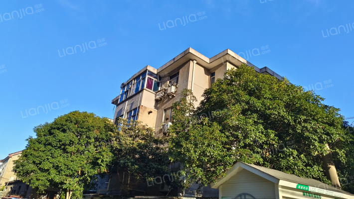 油车街新村外景图