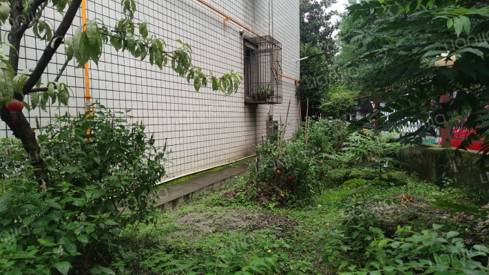 柳城公寓外景图