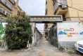 国税局家属院9