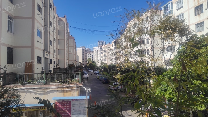 金实小区真实园外景图