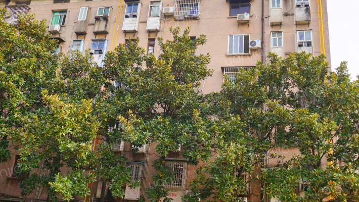 长沙外贸服装厂宿舍外景图