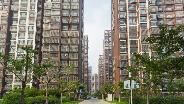 凤城盛世外景图