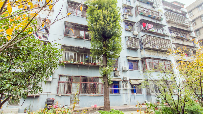 国土局家属院外景图