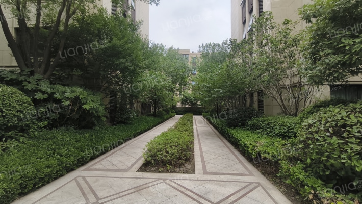 鸿园梧桐苑外景图