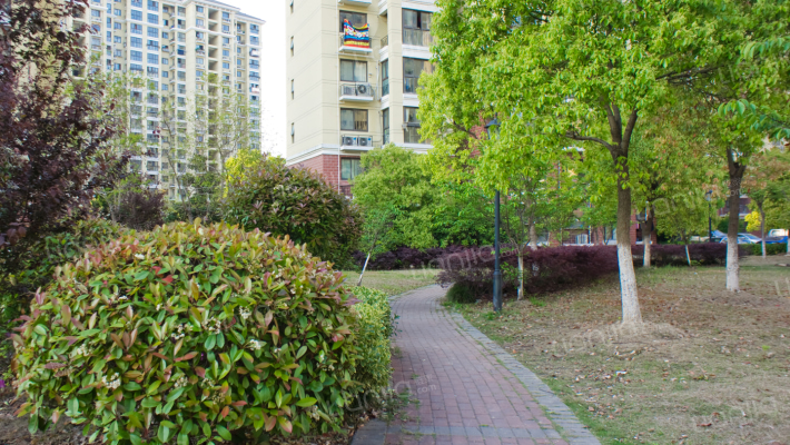 永康城星华园外景图