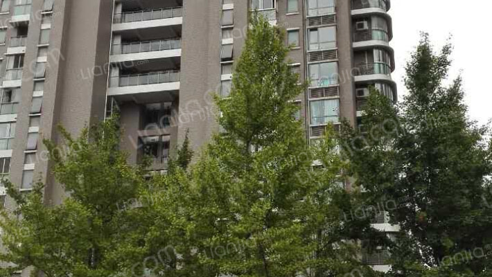 新弘国际公寓外景图