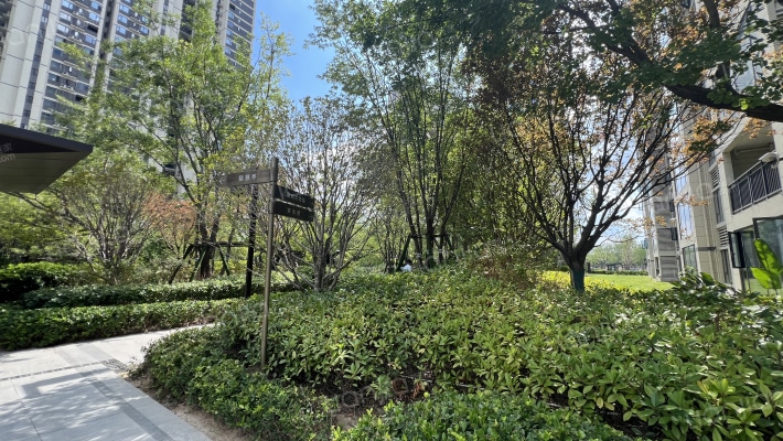 碧桂园西流湖名城九号院外景图