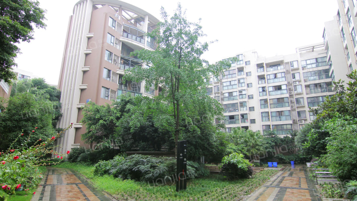 双楠忆景外景图