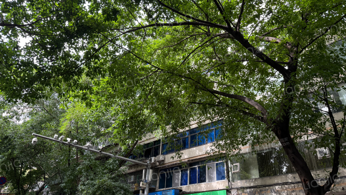 孙家书房路外景图