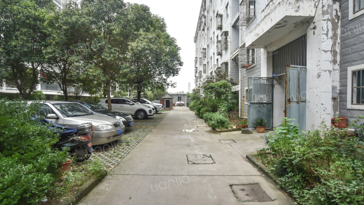 东郊新村虹鑫苑外景图