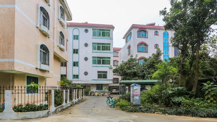 星彩小区外景图