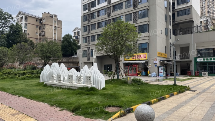 金恒银杉里外景图