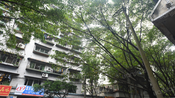 渝航路三巷44号外景图