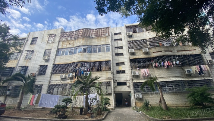 秀英机关第一宿舍外景图