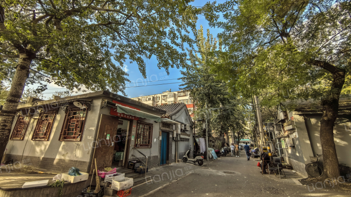 育树四条外景图