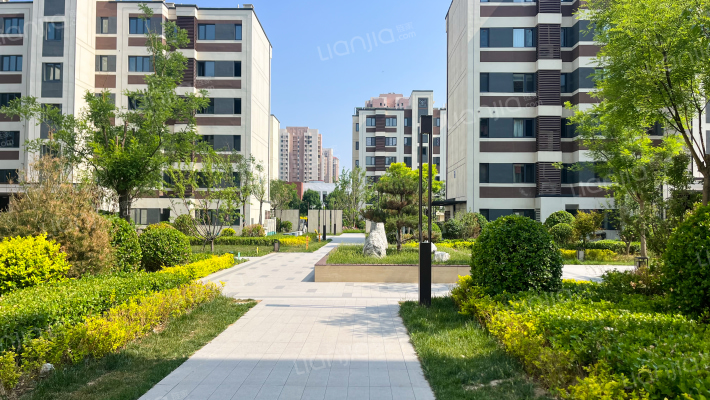 财信河西府外景图