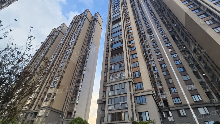 鑫利家园外景图