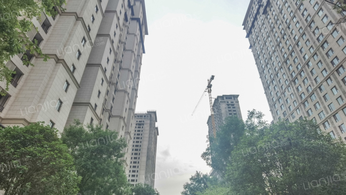 陈砦新区外景图