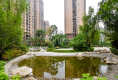 百悦天鹅湖10