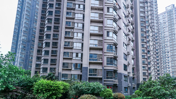 西荷花园外景图