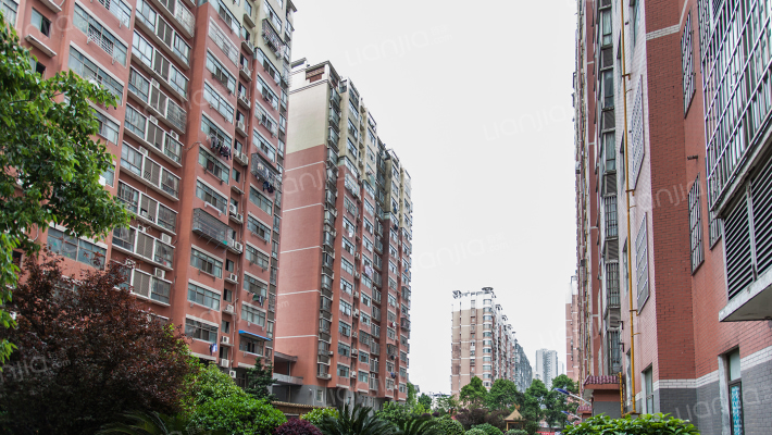 金达阳光花园外景图