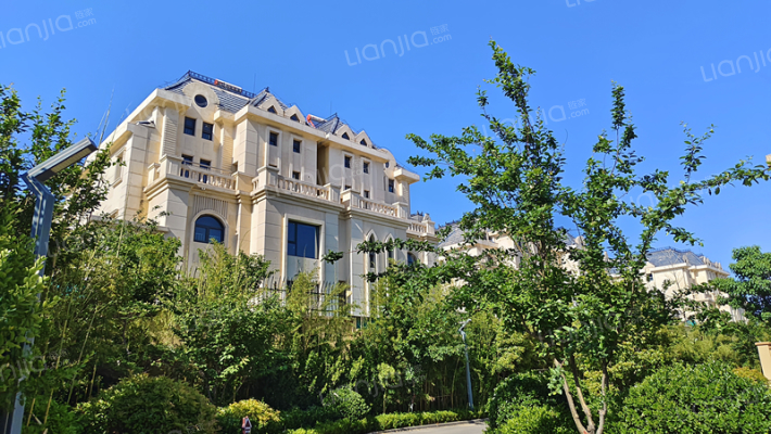 铭洲原墅外景图