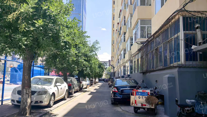 移村小区外景图