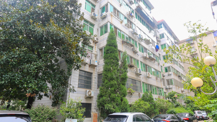 文教支路外景图